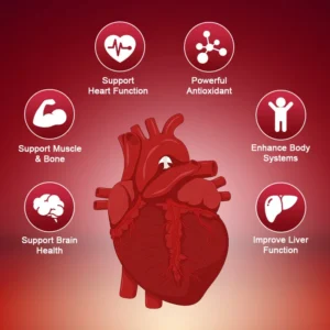 120pcs Organic Q10 Coenzyme 400mg Capsules Cardiovascular and Heart Health Energy Vitamins Beauty and Health 2