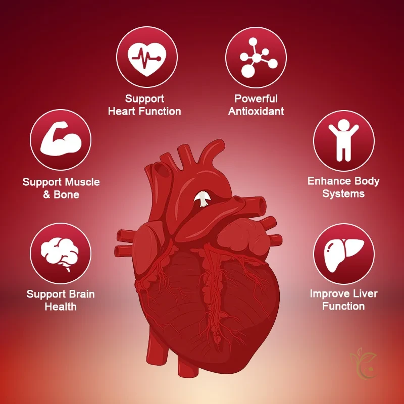 120pcs Organic Q10 Coenzyme 400mg Capsules Cardiovascular and Heart Health Energy Vitamins Beauty and Health 2