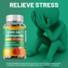 KSM-66 Ashwagandha Extracts Capsules - Relieve Stress and Mood, Promote Sleep Quality, Increase Focus and Brain Health 6